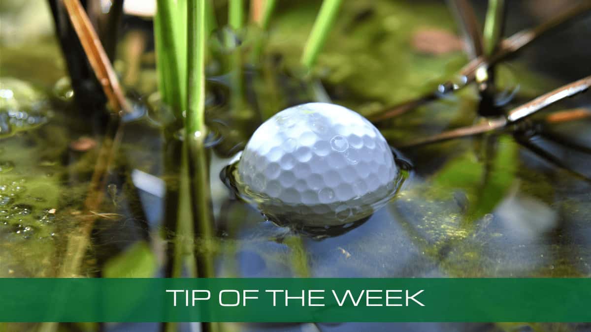 a golf ball sitting on top of a pond