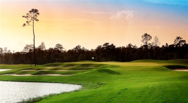 a golf course with water and trees in the background