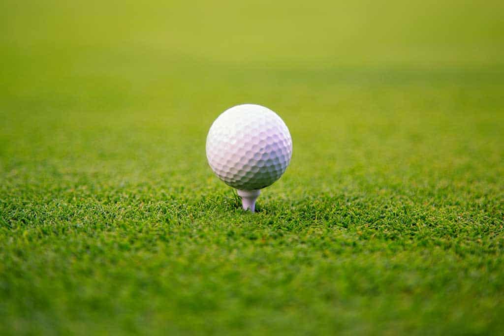 a golf ball on the tee in the grass